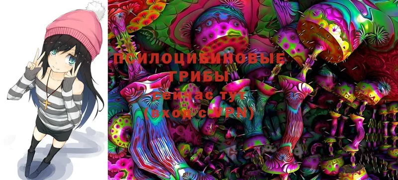 как найти закладки  ОМГ ОМГ рабочий сайт  Псилоцибиновые грибы MAGIC MUSHROOMS  Санкт-Петербург 